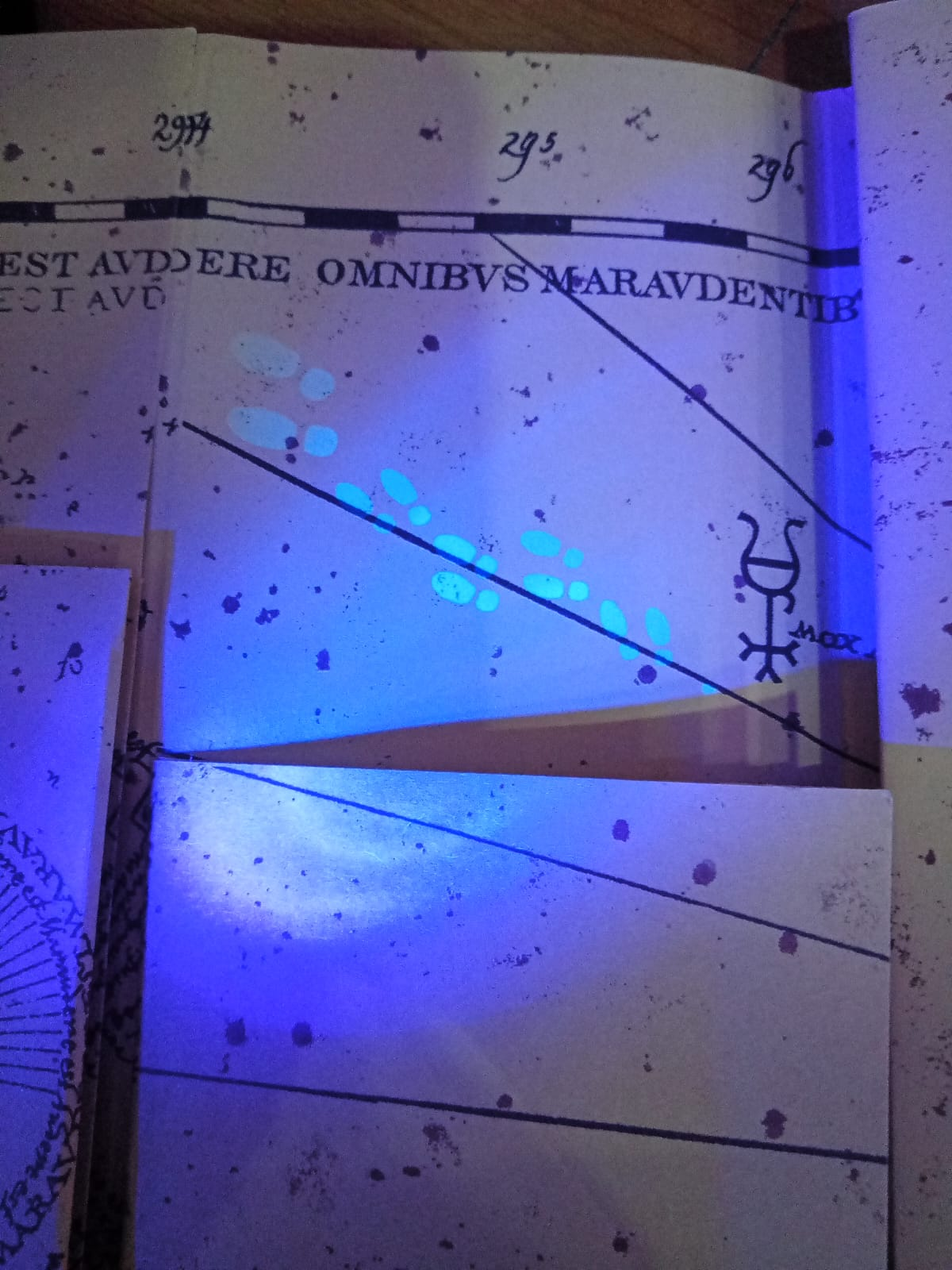 harry-potter-mapa-merodeador-adrogurharrypotter-interactivoharrypotter-mimiland-harry-mapaharry